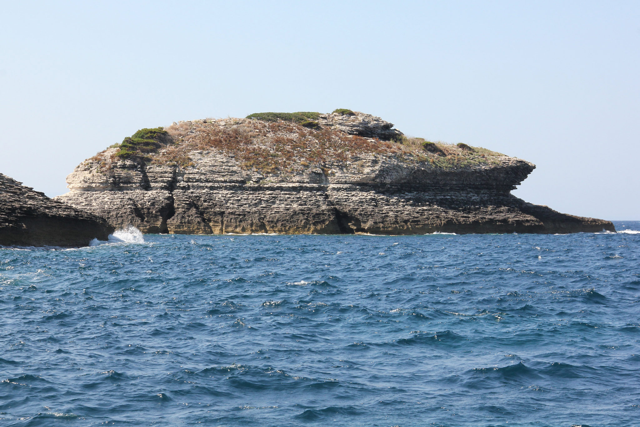Bonifacio